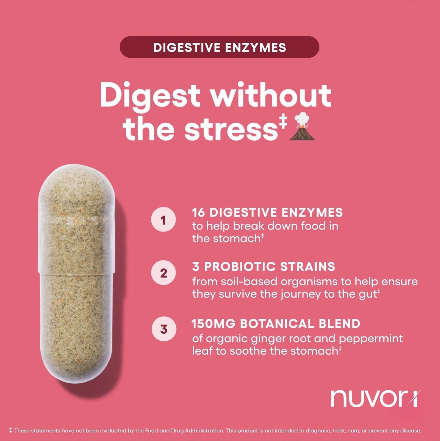 Digestive Enzymes