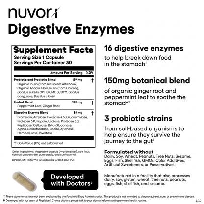 Digestive Enzymes